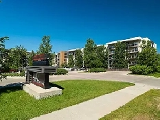 Top-Floor 1 Bedroom Apartment in Beautiful Linden Woods
