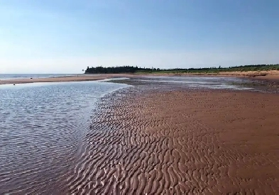 Amazing Waterfront Property For Sale- 80 Acres- 1 Mile of Beach