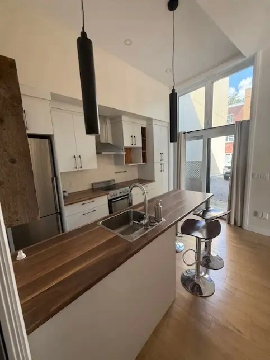 Très beau grand studio moderne, St-Sauveur, Électro inclus