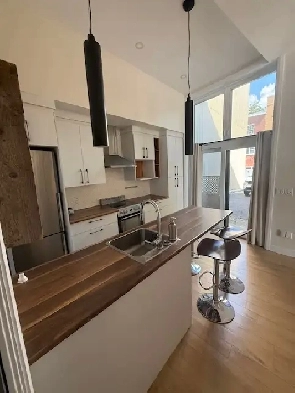 Très beau grand studio moderne, St-Sauveur, Électro inclus