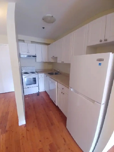 One Bedroom Apartment - Available August 1st