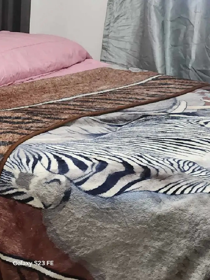 Chambre meublée à louer dans un 51/2