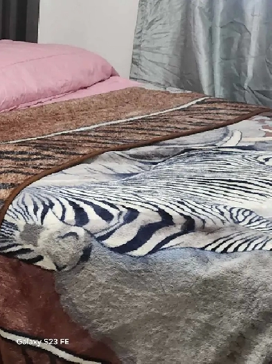 Chambre meublée à louer dans un 51/2