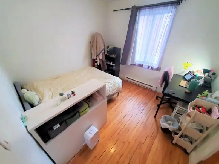Photo 5