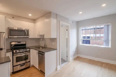 renovated studio apartment near blvd Saint-Laurent - ID 2823