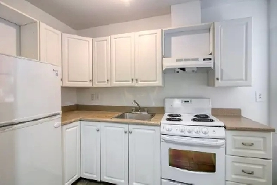 one bedroom near McGill - ID 1165