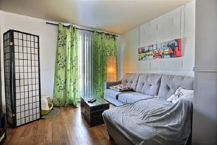 Photo 12