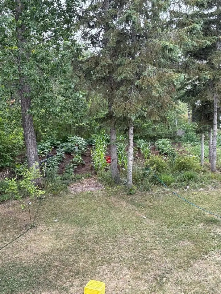 2 bedroom house for rent