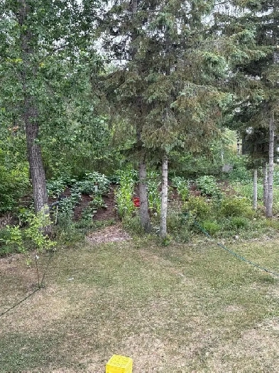 2 bedroom house for rent