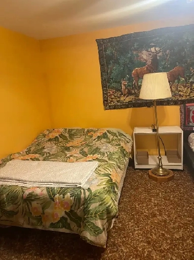 private room for rent (Drumheller)