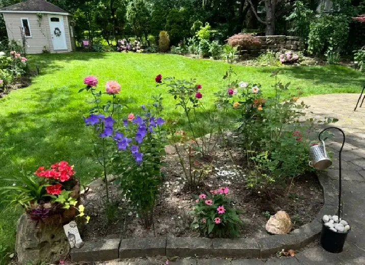 A beautiful bedroom/parking near UTM for rent