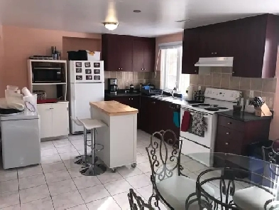 Bright Walkout - on a Ravine, 2 bed 1 bath