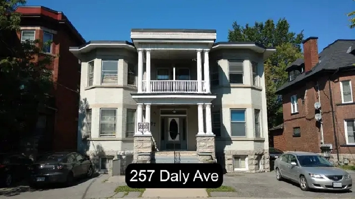 Sandy Hill Bachelor/Studio Apartment for Rent (257 Daly Ave)