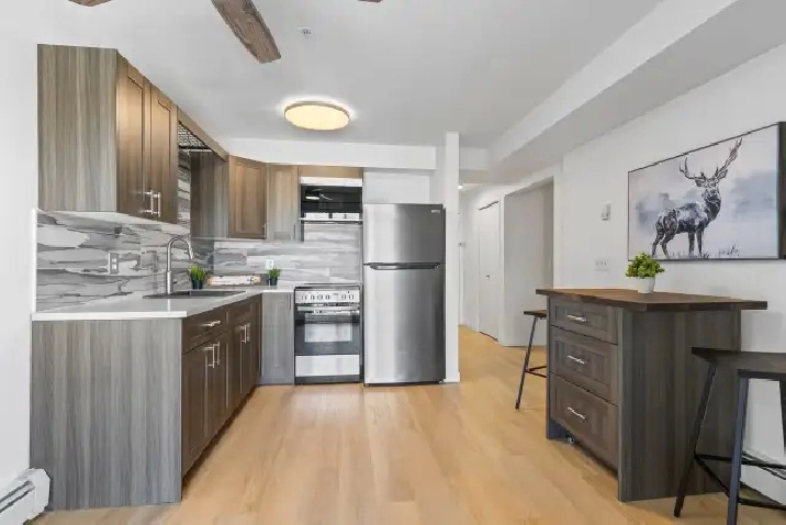 CONDO FOR SALE-$162,900! RECENT RENOS LOW CONDO FEES!