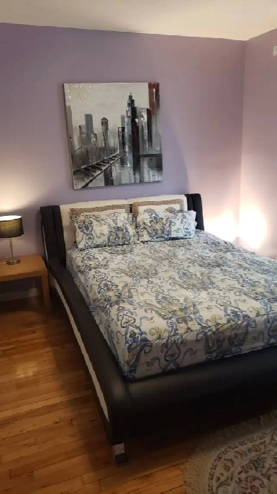 Fully Furnished Bright Spacious All Utilities incl. 3 1/2 July 1