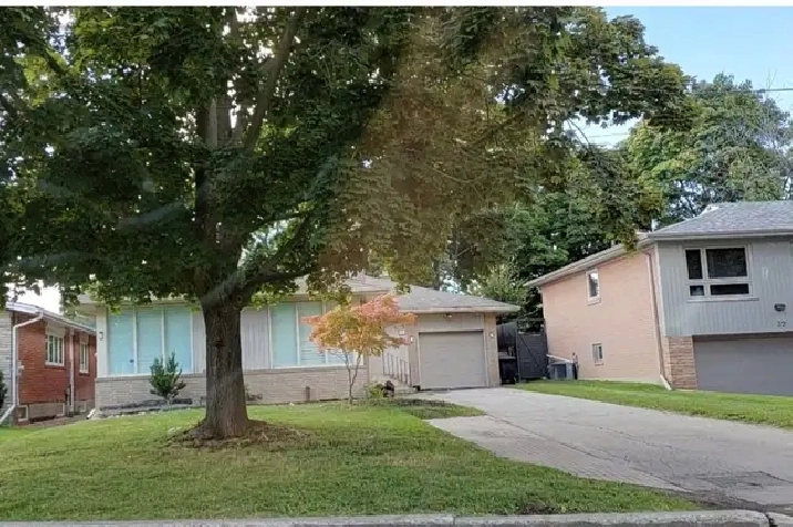 The Basement  For Rent