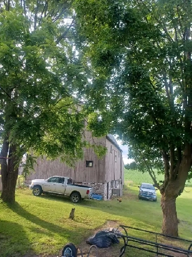 barn space for rent for the purposes of livestock or storage
