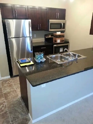 AVAILABLE ASAP IN WALKER LAKES