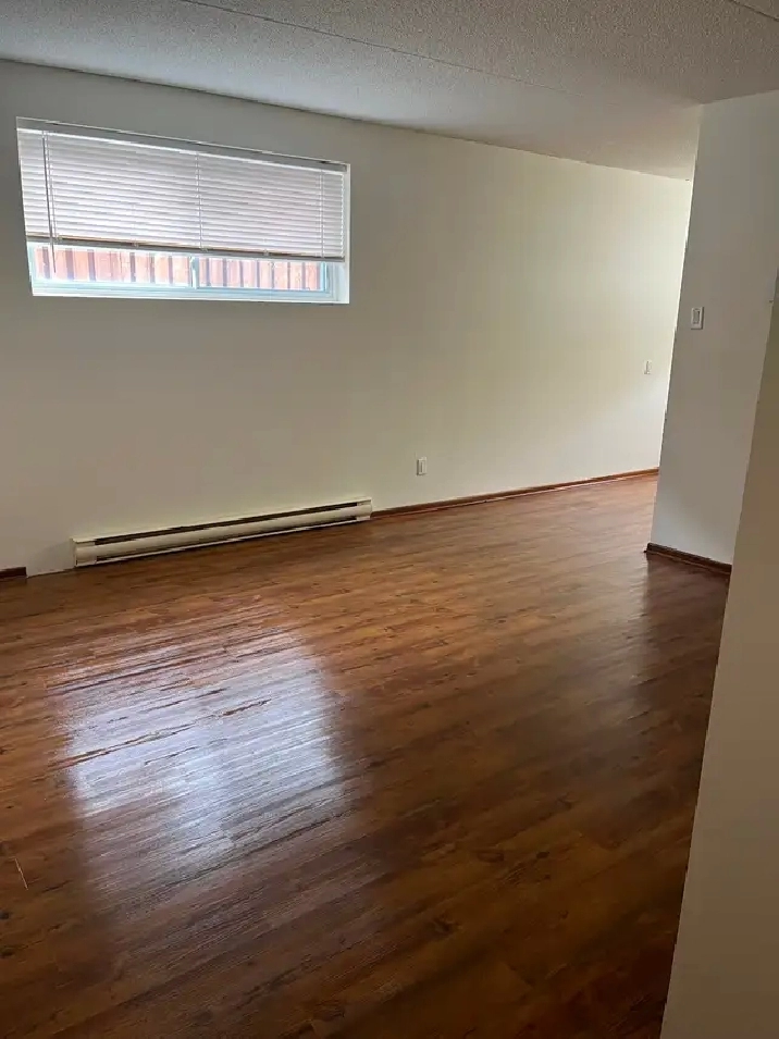 Newly renovated 1 bdrm Bsmt apt in central area