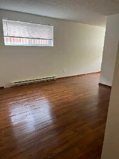 Newly renovated 1 bdrm Bsmt apt in central area