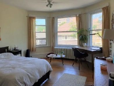 Large sunny furnished room for rent near Dal