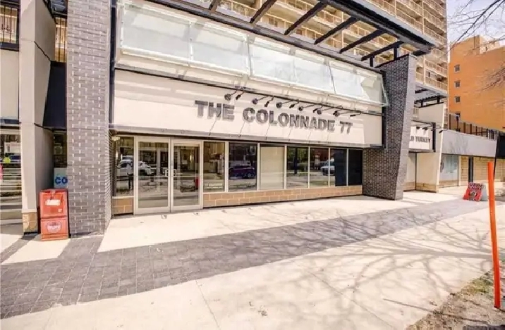 1 br Apartment Downtown