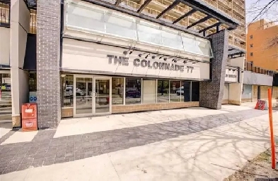 1 br Apartment Downtown