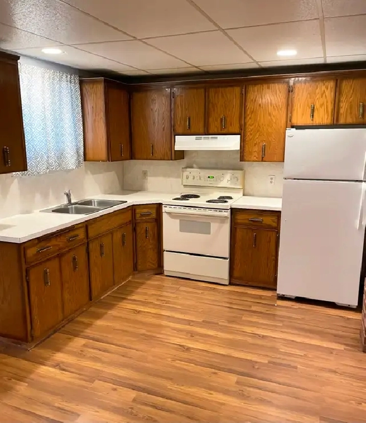 Spacious 2 Bedroom Basement Suite in Tuxedo