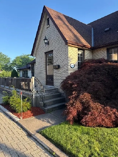 1 bedroom apartment north end for rent