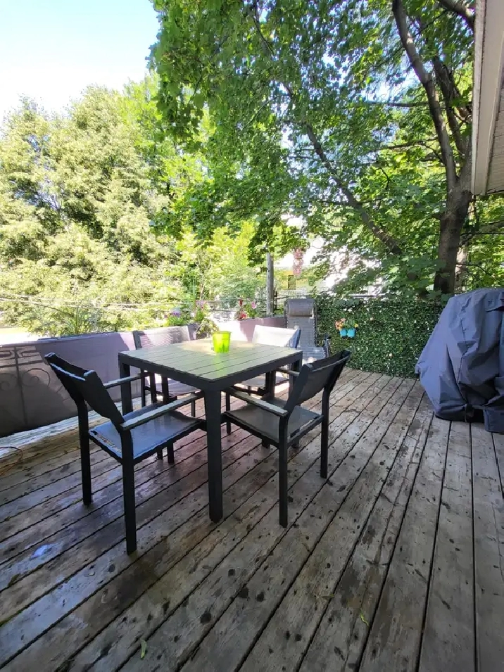 5- 1/2 avec 2 ou 3 ch grande terrasse très rare dans le quartier
