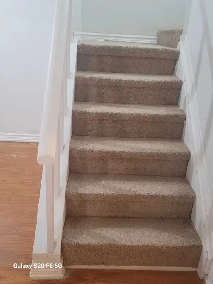 Basement Apartment for rent