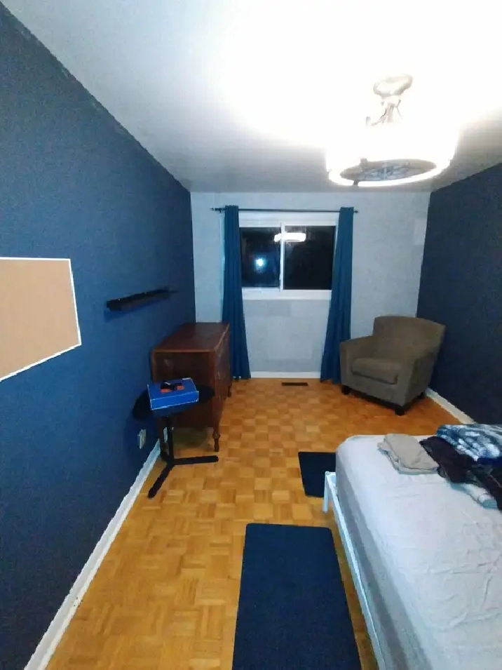Photo 5