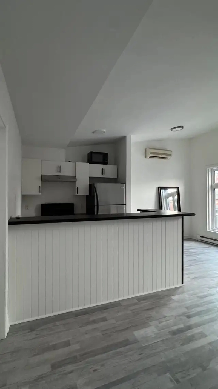 3 1 Apartment for Rent – Montreal (Ontario East)