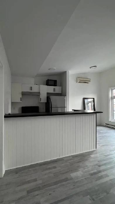3 1 Apartment for Rent – Montreal (Ontario East)