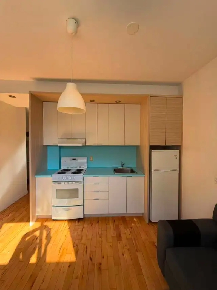 3½ meublé près du métro/furnished near the metro