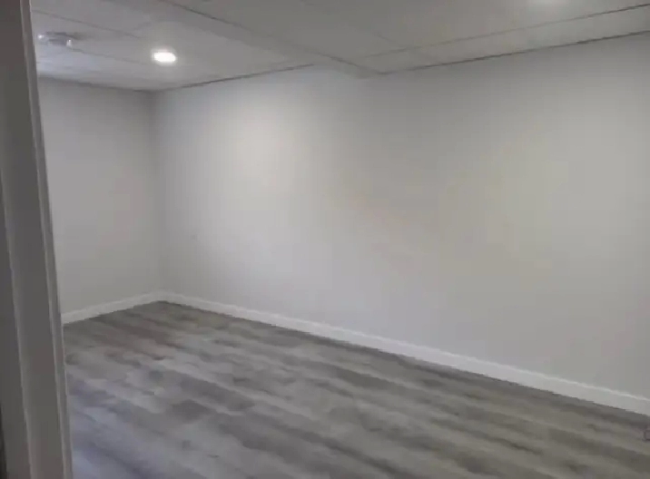 single room for rent in basement