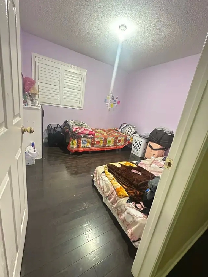 room for rent