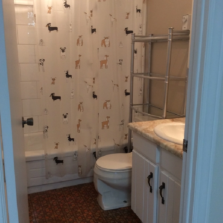 Photo 5