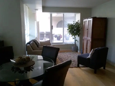 Bright and spacious 1 bdrm condo in Liberty Village/King West
