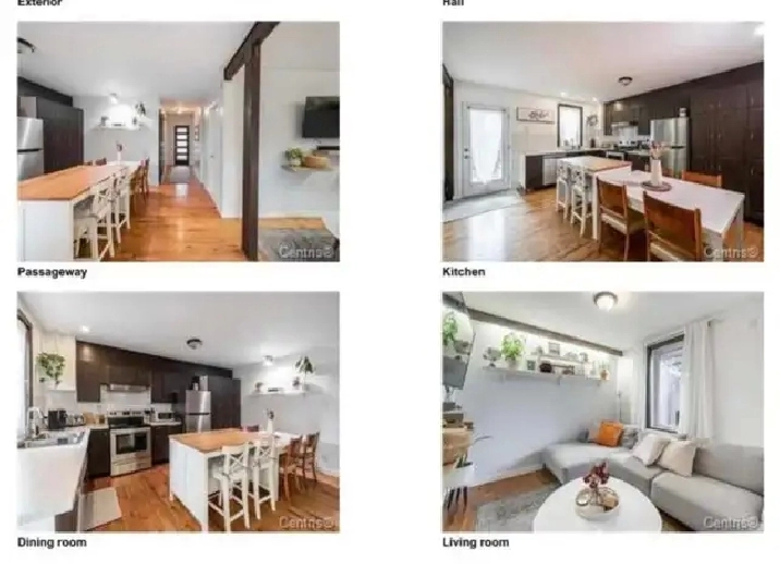 Recently renovated, 2 bedrooms apartment near downtown