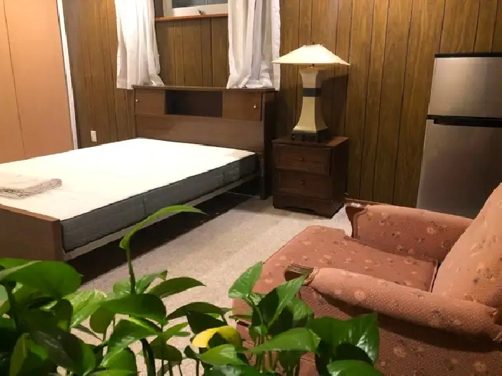1 BR basement apartment $900 pm available from 1st July 2026