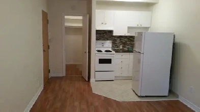 Renovated Apartment near metro Vendome for July
