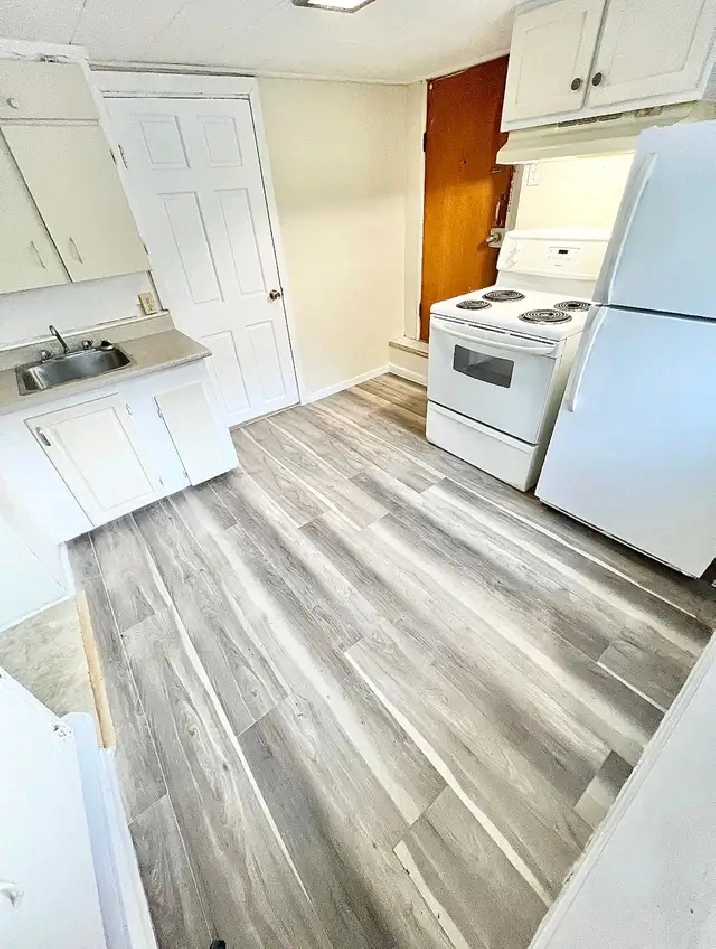 1 Bedroom Apartment Downtown (Open Now) - Dog & Cat Friendly