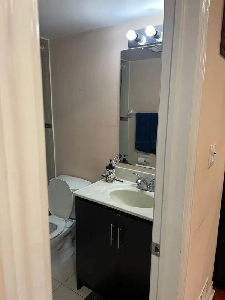 Roommate needed to share basement apartment basement in E
