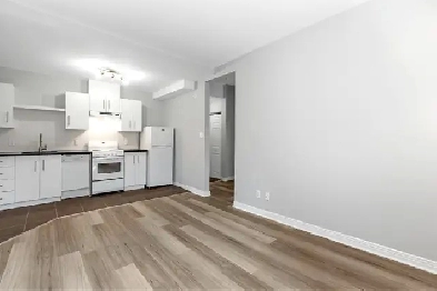 Amazing 1-Bed Unit, Downtown, Fast Internet, AC, Laundry, July1