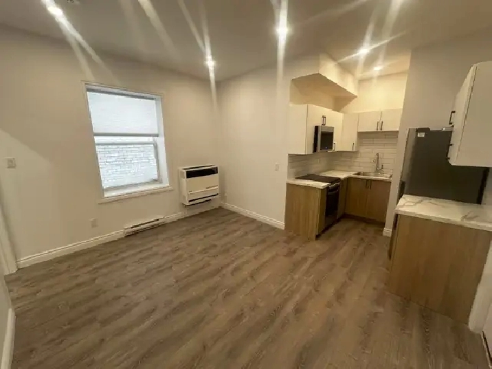 Renovated 1-Bedroom Unit- Centretown - Available September 1st!