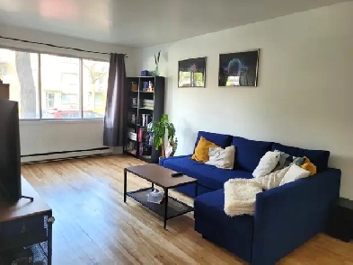 4 1/2 Lumineux à Villeray