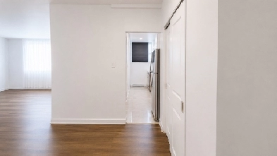 Bright 1-Bedroom in NDG with Internet Included