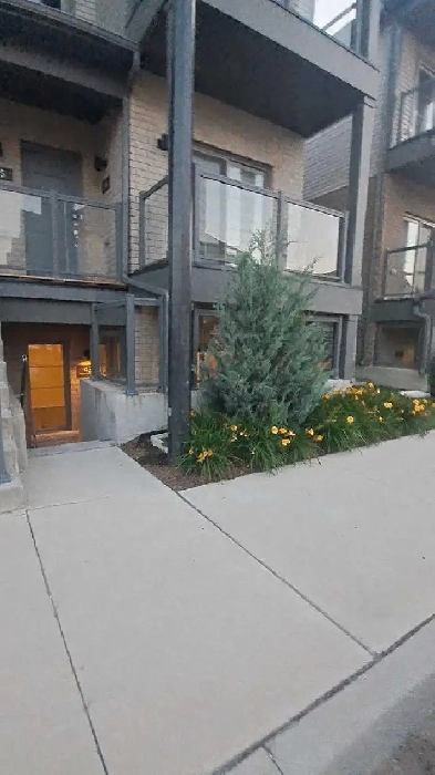 Condo Townhouse for Rent