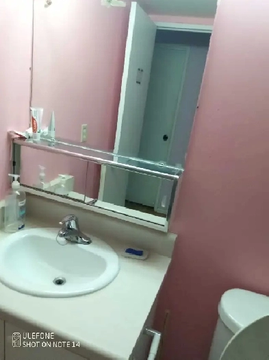 private bedroom with private bathroom for rent for August 1st